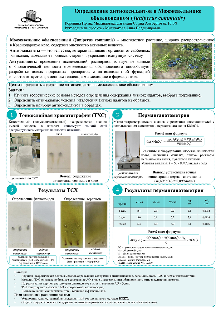 Картинка проекта