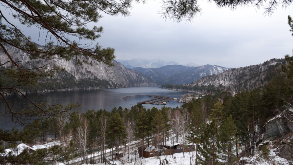 photo_2025-12-02_17-28-15.jpg photo_2025-12-02_17-28-15.jpg